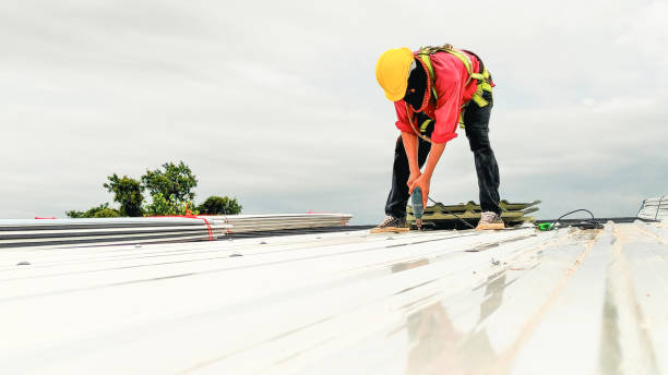 Best Cold Roofs  in Montrose, MN